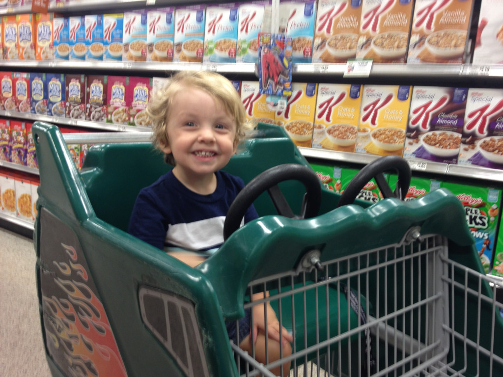 Publix Where Shopping Really Is A Pleasure Hayden’s List